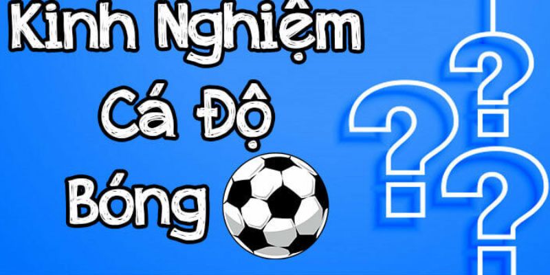 Một vài kinh nghiệm trên sẽ giúp quá trình chơi kèo 1/1.5 dễ dàng hơn